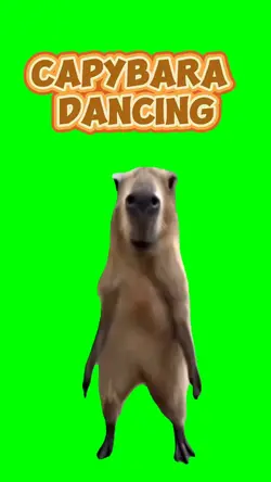 Capybara Dancing