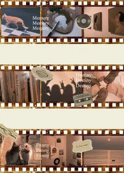โทนฟิล์ม (films tone)