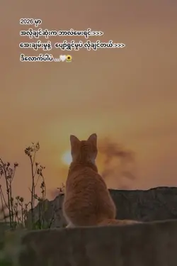 ဒီလောက်ပါပဲ🌻