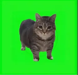 챌린지 1트 가능?