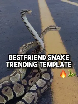 Bestie snake trend🐍🔥