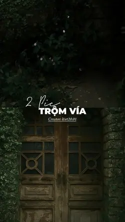 Trộm Vía-MBắc, Trung