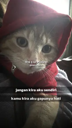 JNGAN KIRA AK SNDIRI