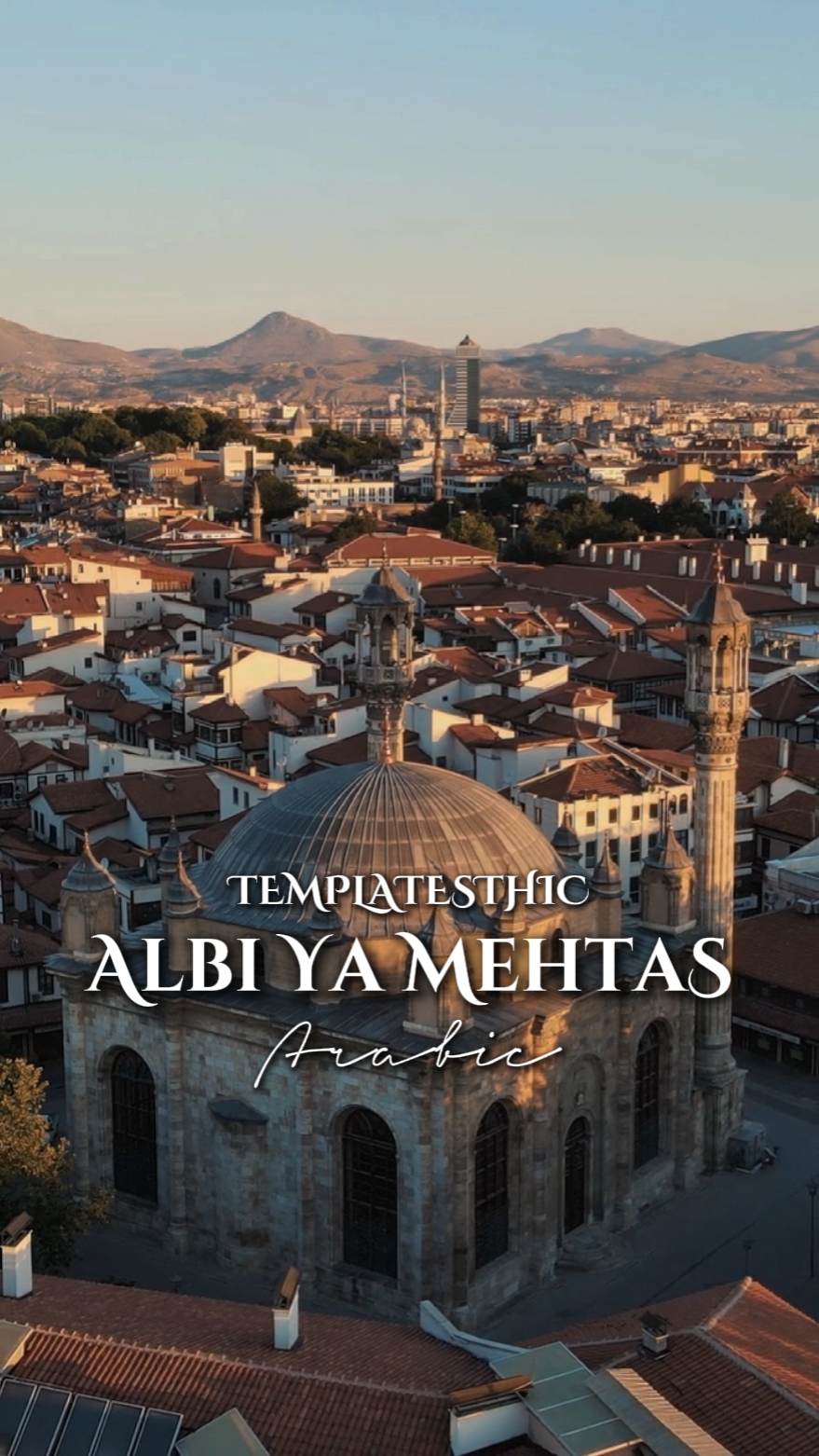 Albi ya mehtas arabi