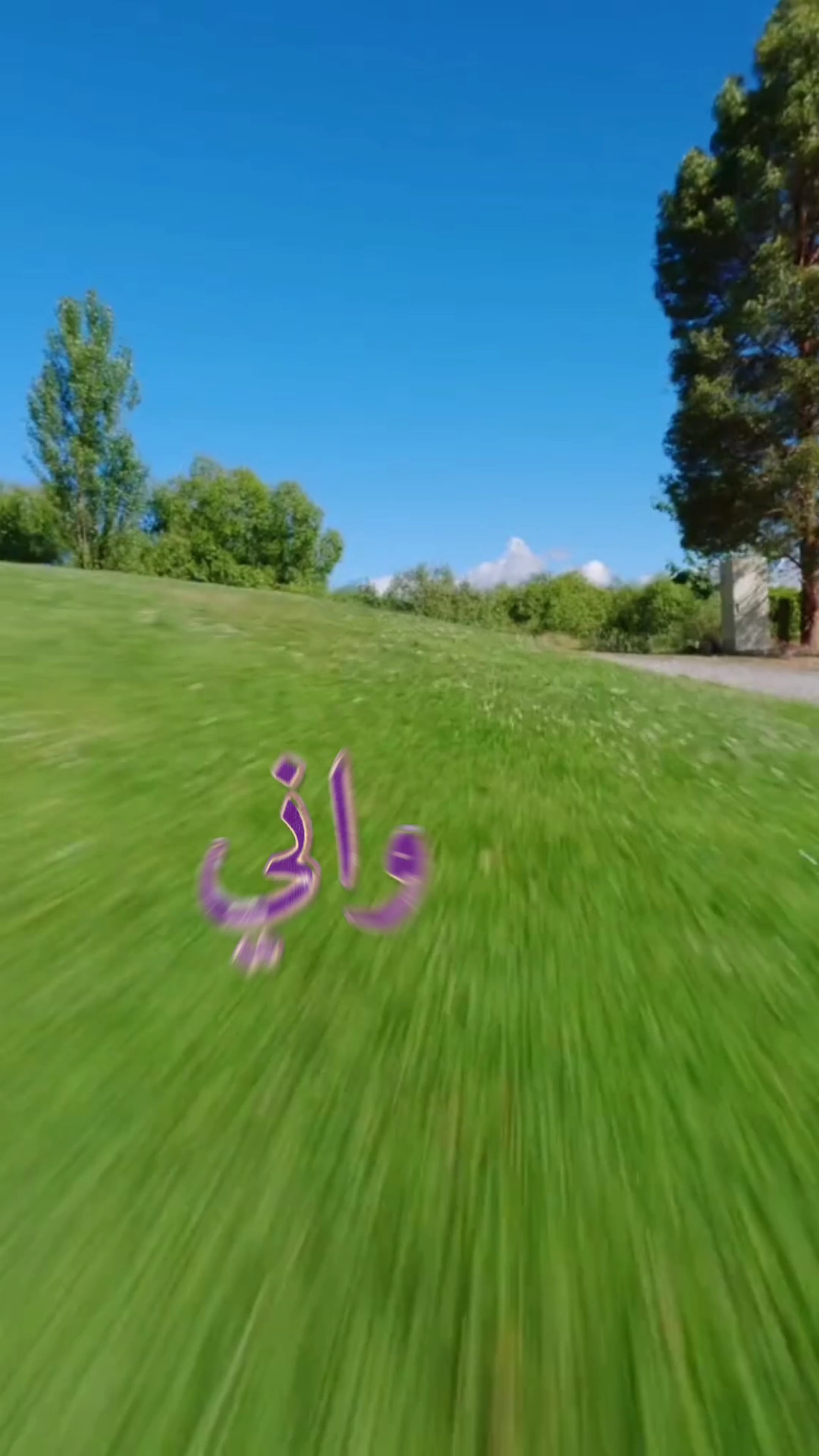 واني ربعي وفاية 