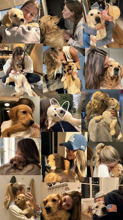 My dog