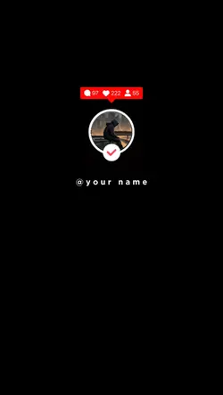 TIKTOK PROFIL