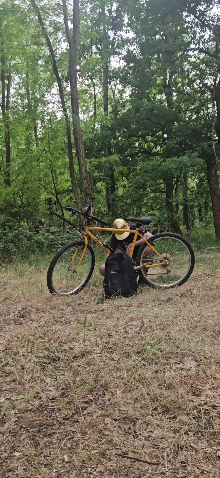En el bosque