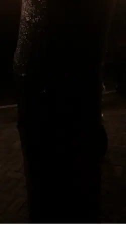 Dua tiga ikan duyung