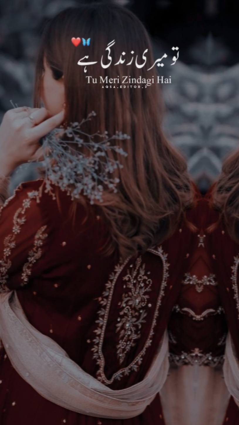 TU MERI ZINDGI HAI