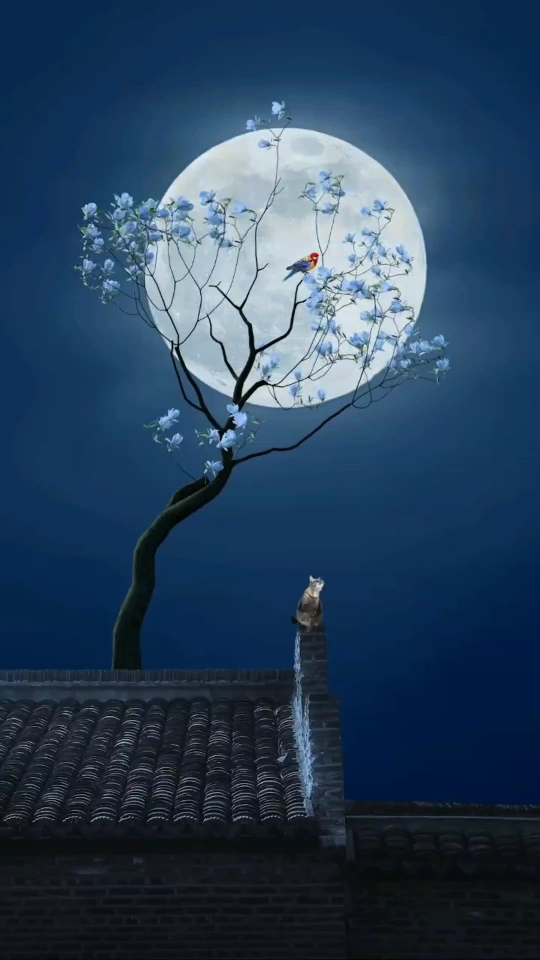 Selamat Malam Semua