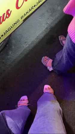 🤍