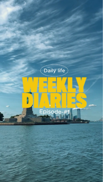 Weekly Diaries