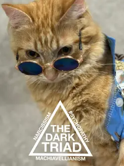 Dark Triad Trend