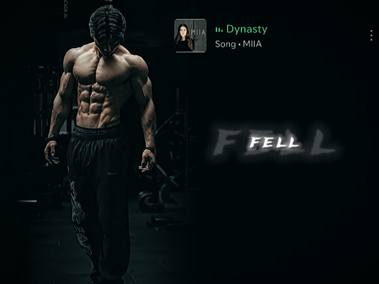 Dynasty | gym 
