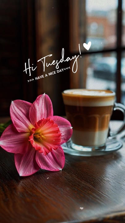 Hallo Dienstag! 😊