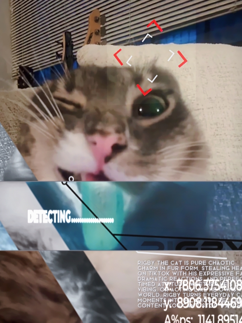 VIRAL VIDEO 