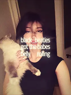 Black beatles