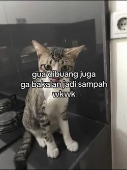 gw dibuang jg ga