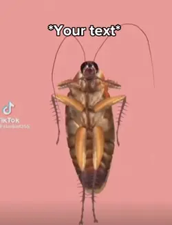 Cockroach dancing