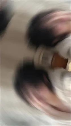 可愛得讓人受不了