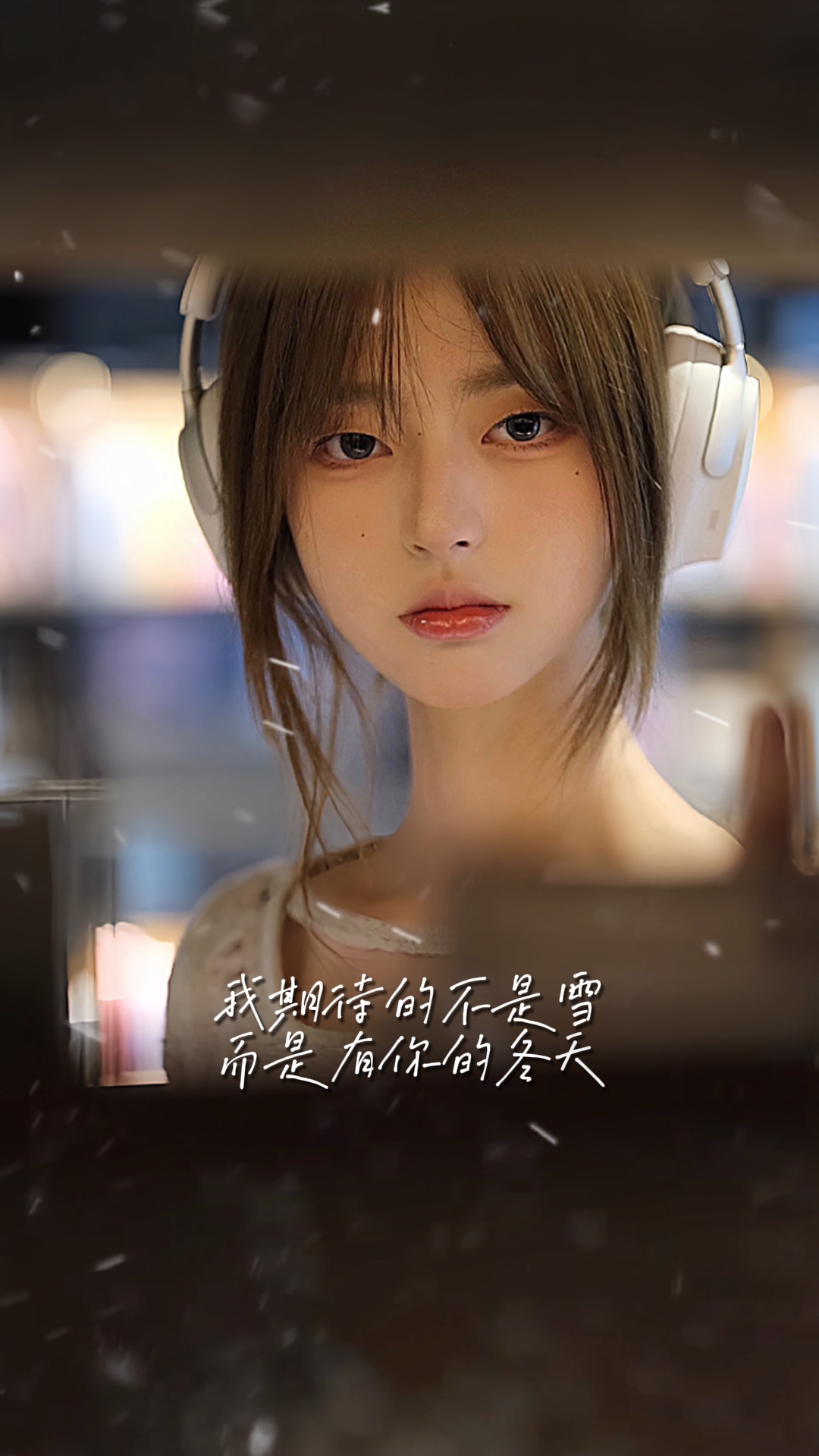 我期待的不是雪