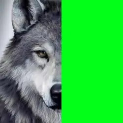 Green screen 