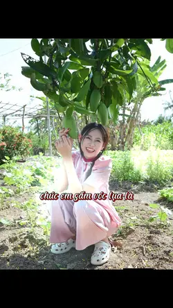 Chúc tết theo mùng