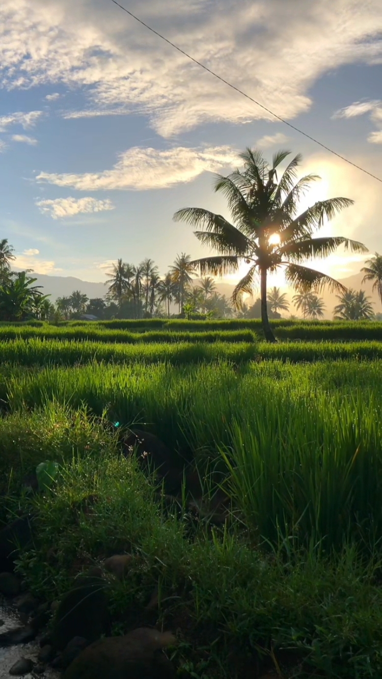Selamat pagi desaku