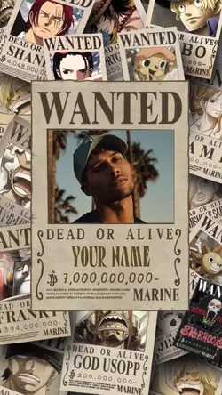 ONE PIECE WANTED