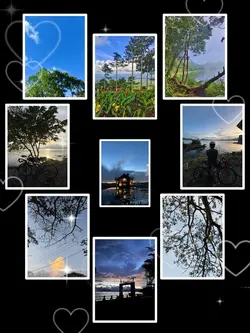 9Pic Trend Aesthetic