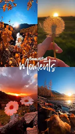 Golden Moments