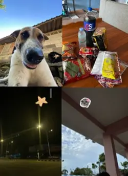 4ภาพ ชีวิตแต่ละวัน