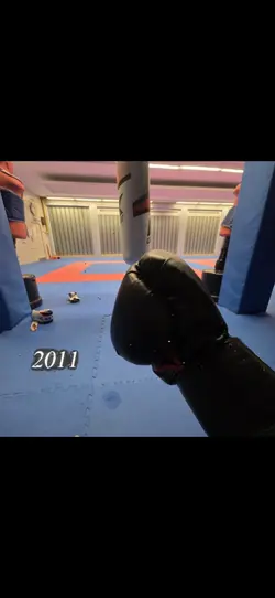 2011