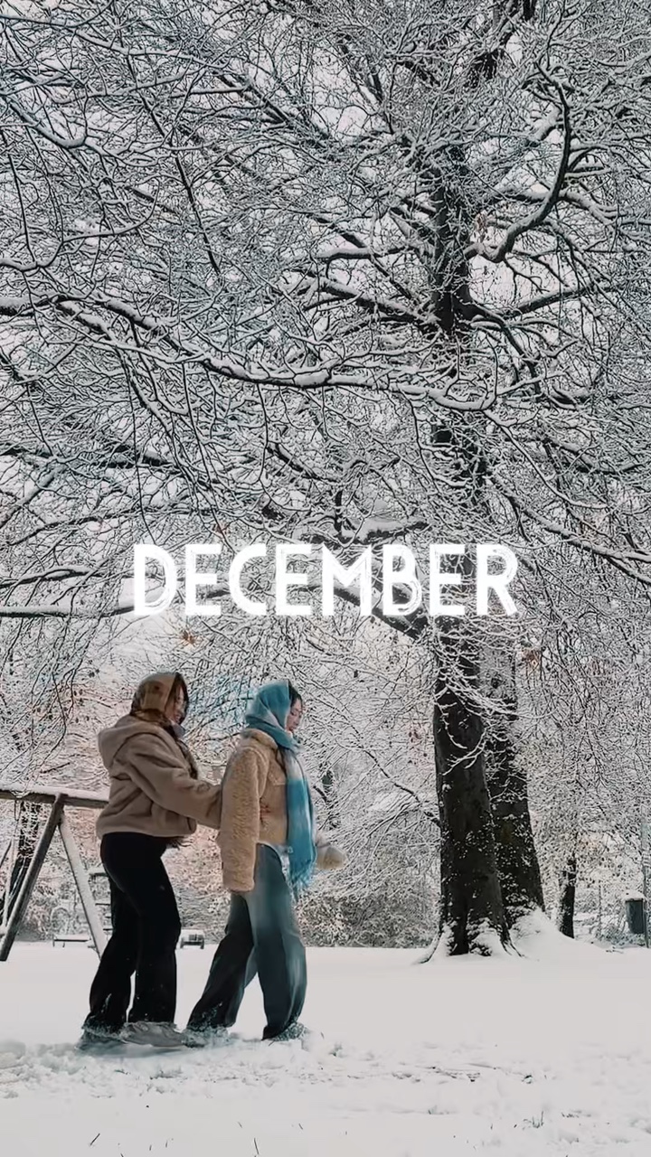 今年十二月