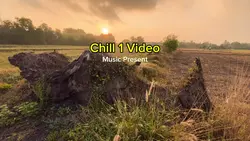 Chill 1video Present