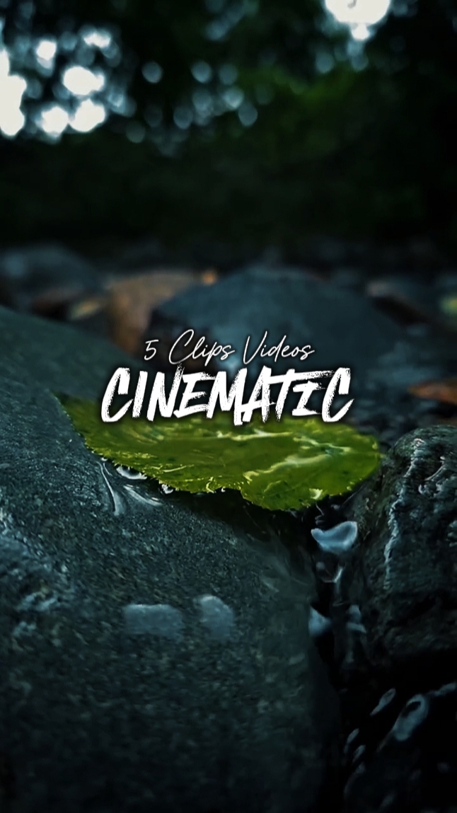 5 Clips Videos