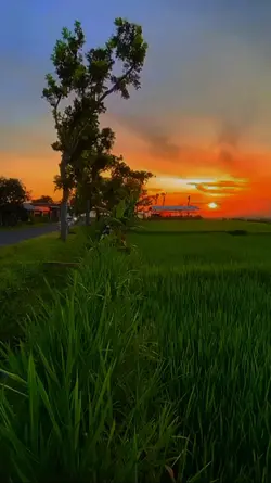 Kerinduan