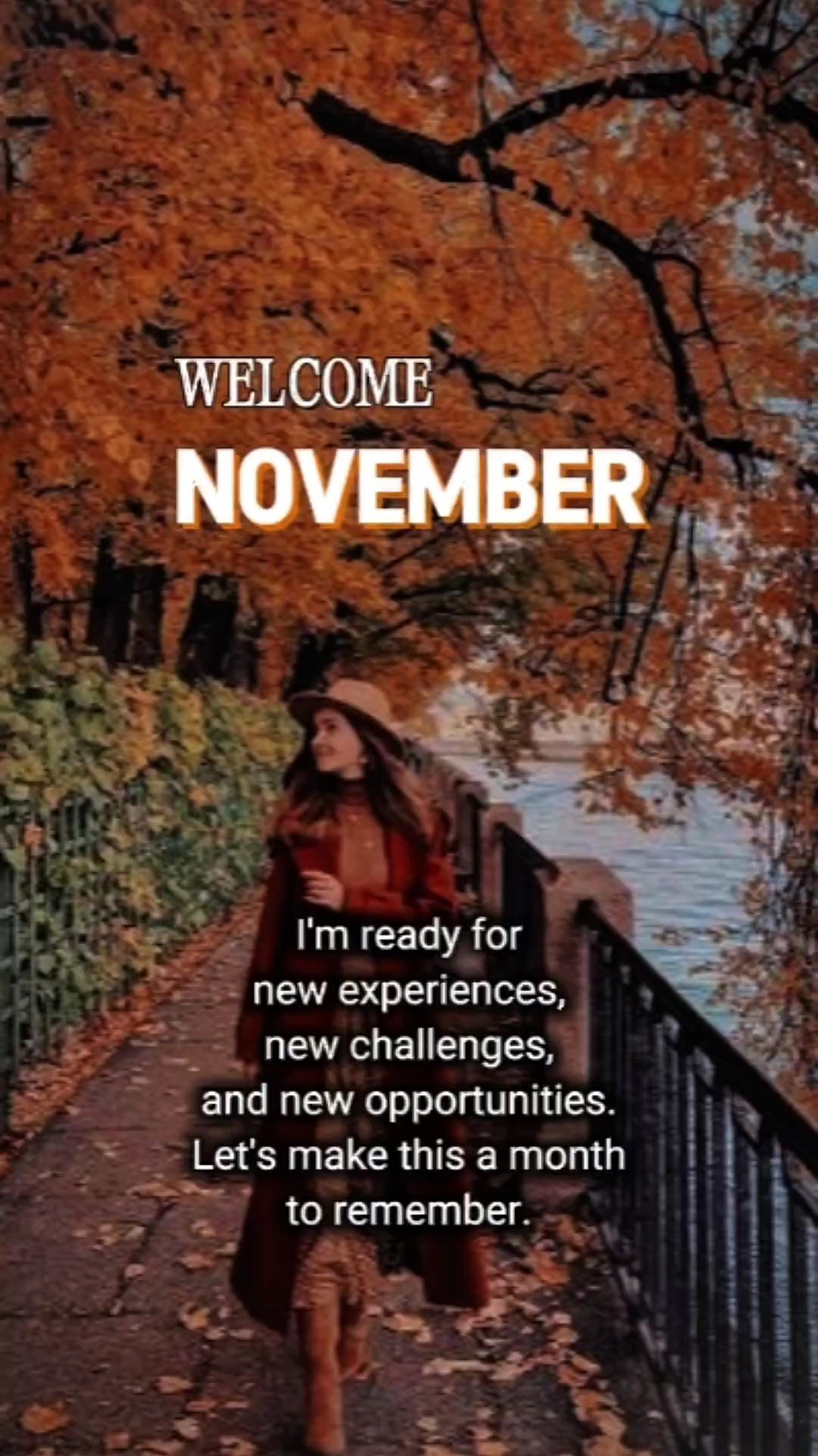 Olá novembro 