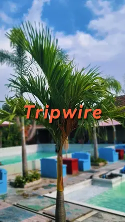 Tripwire