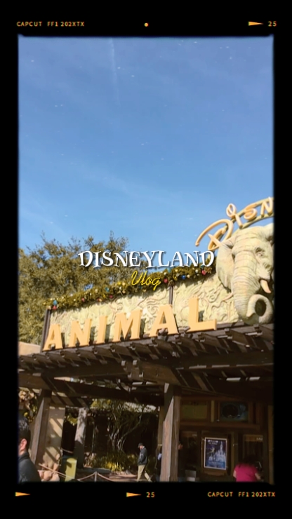 disneyland vlog