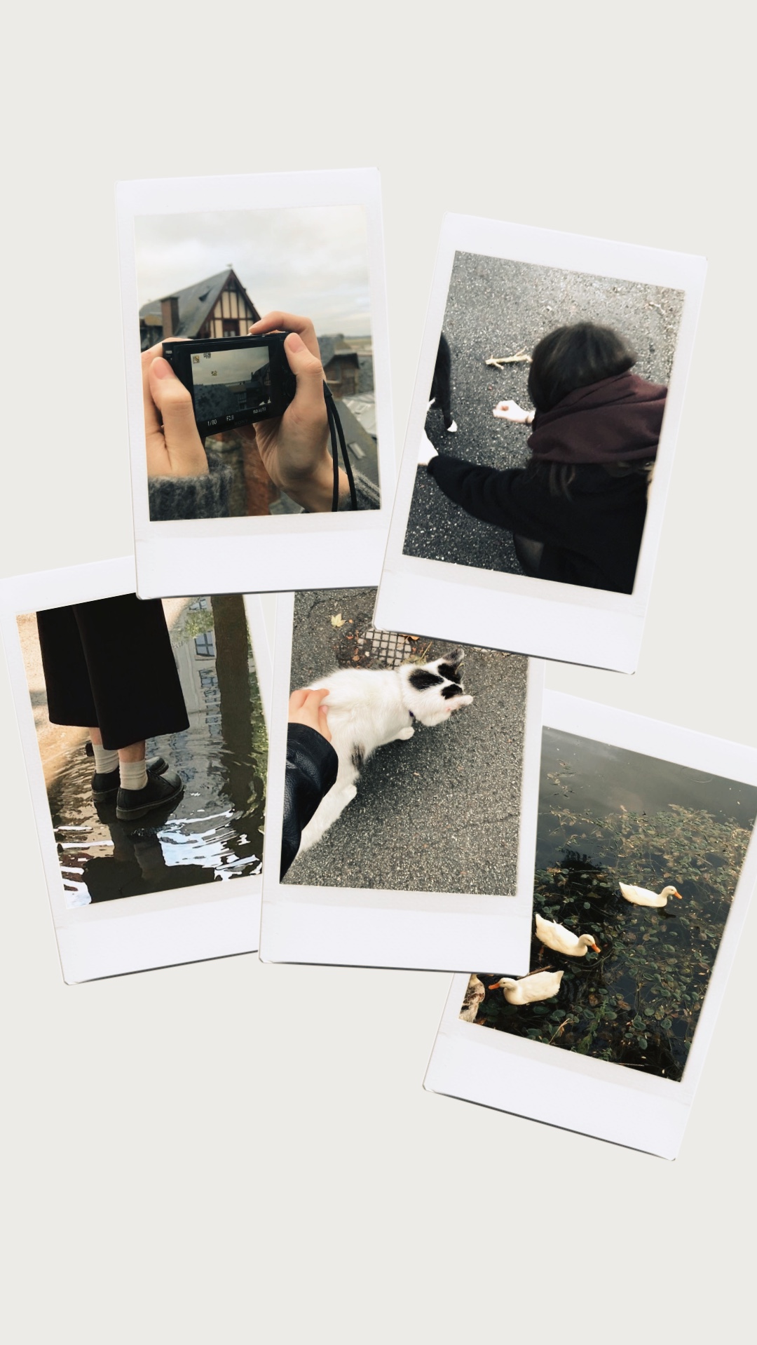 Frame polaroid 
