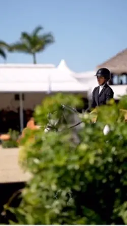 Equestrian Template🤭