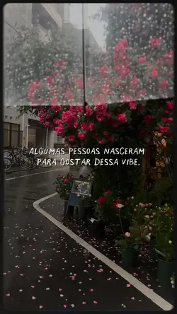 A vibe que eu gosto.