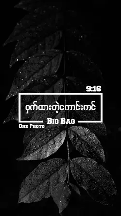 ဝှက်ထားတဲ့ကောင်းကင်