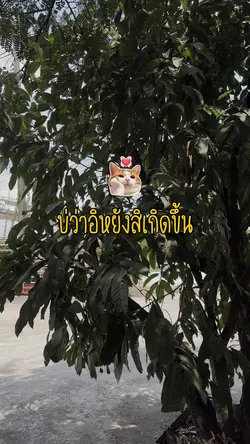 ไม่ว่าอะไรจะเกิดขึ้น