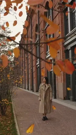 Fall Season