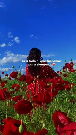 Disfruta la vid