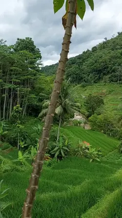 Lagu sunda