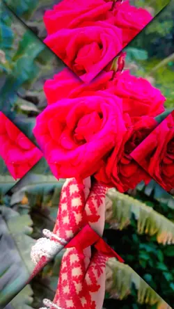 My Wife special for